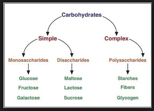 Carbohydrates 