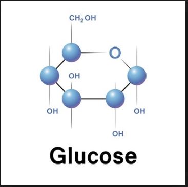 Glucose 