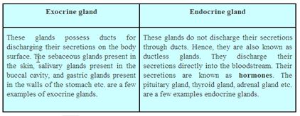 Endocrine system