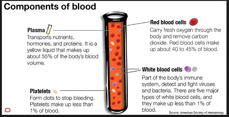 Components of blood