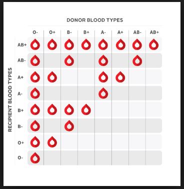 Blood type