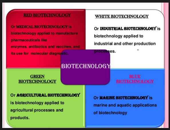 Applications Of Biotechnology