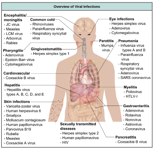 Viral Infection