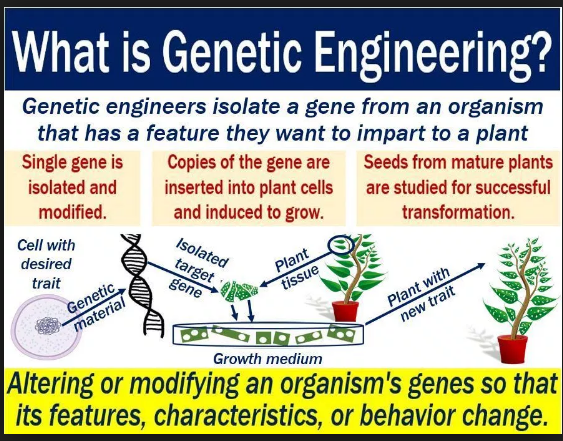 science-applications-of-biotechnology-genetic-engineering-119