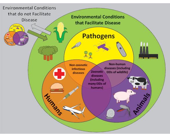 Zoonotic Diseases