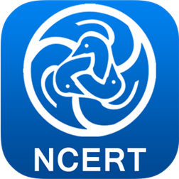 NCERT notes pdf